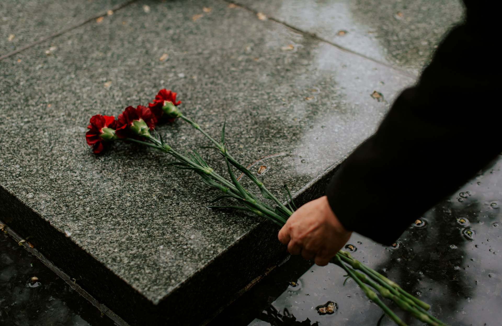 Understanding Cemetery Plot Sizes and Layouts in British Columbia