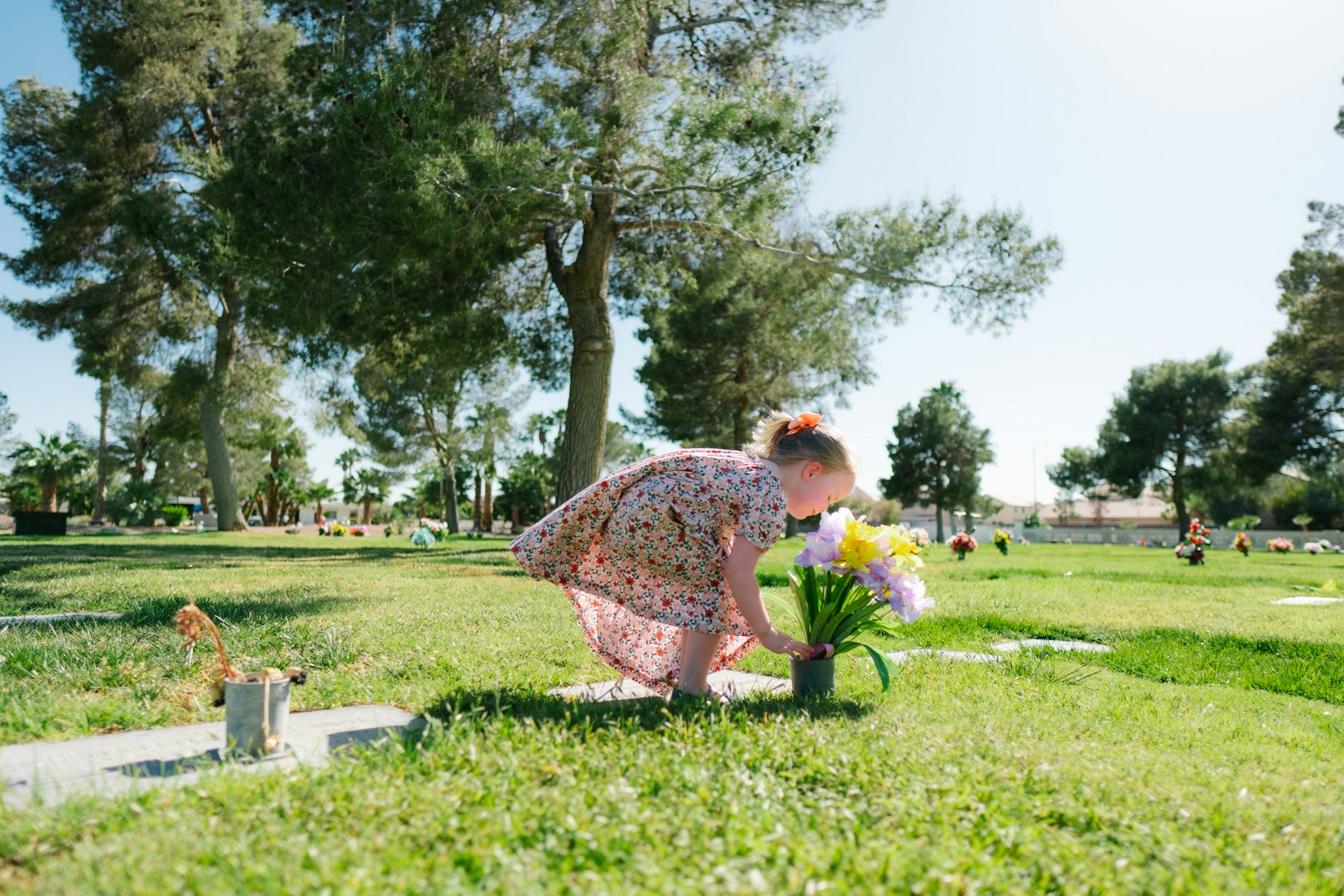 A Practical Guide to Cemeteries: What to Know Before You Choose