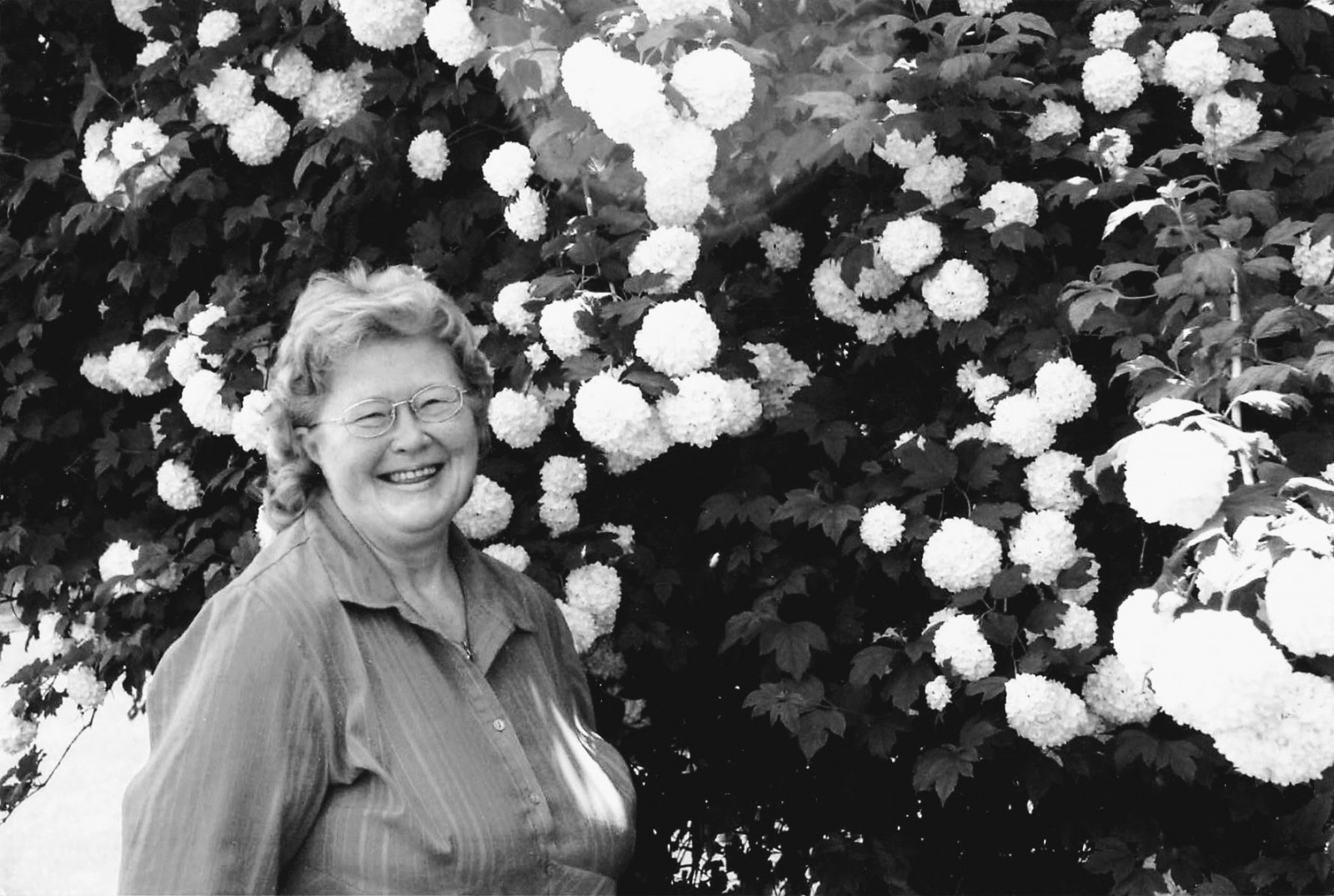 Hendrikje "Henny" Davie