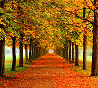 Marvin "Bill" Tuttle