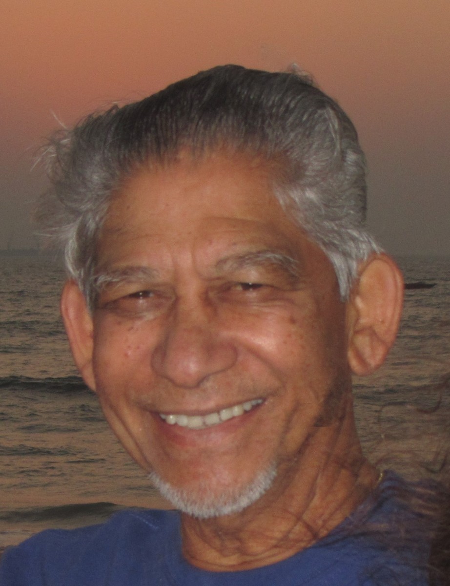 Peter Joseph  D'Mello