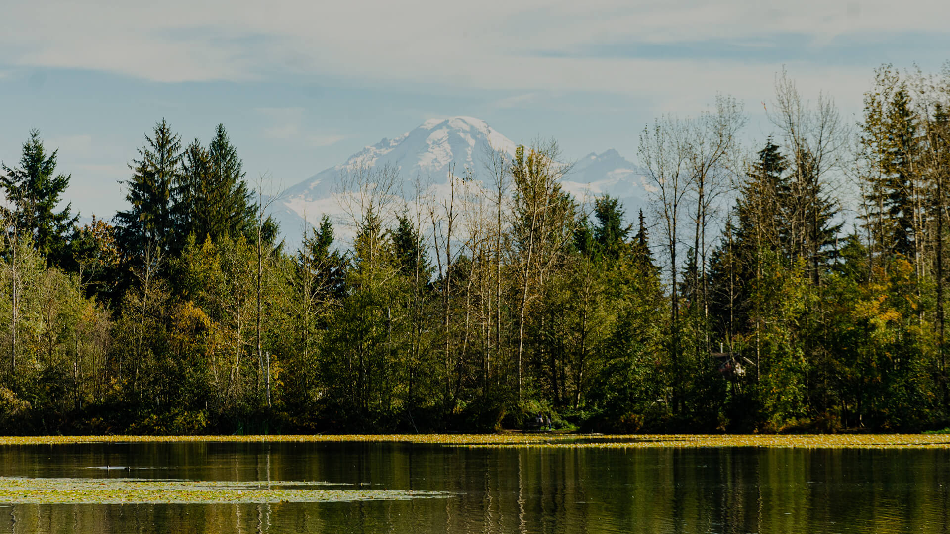 Alternatives in Abbotsford