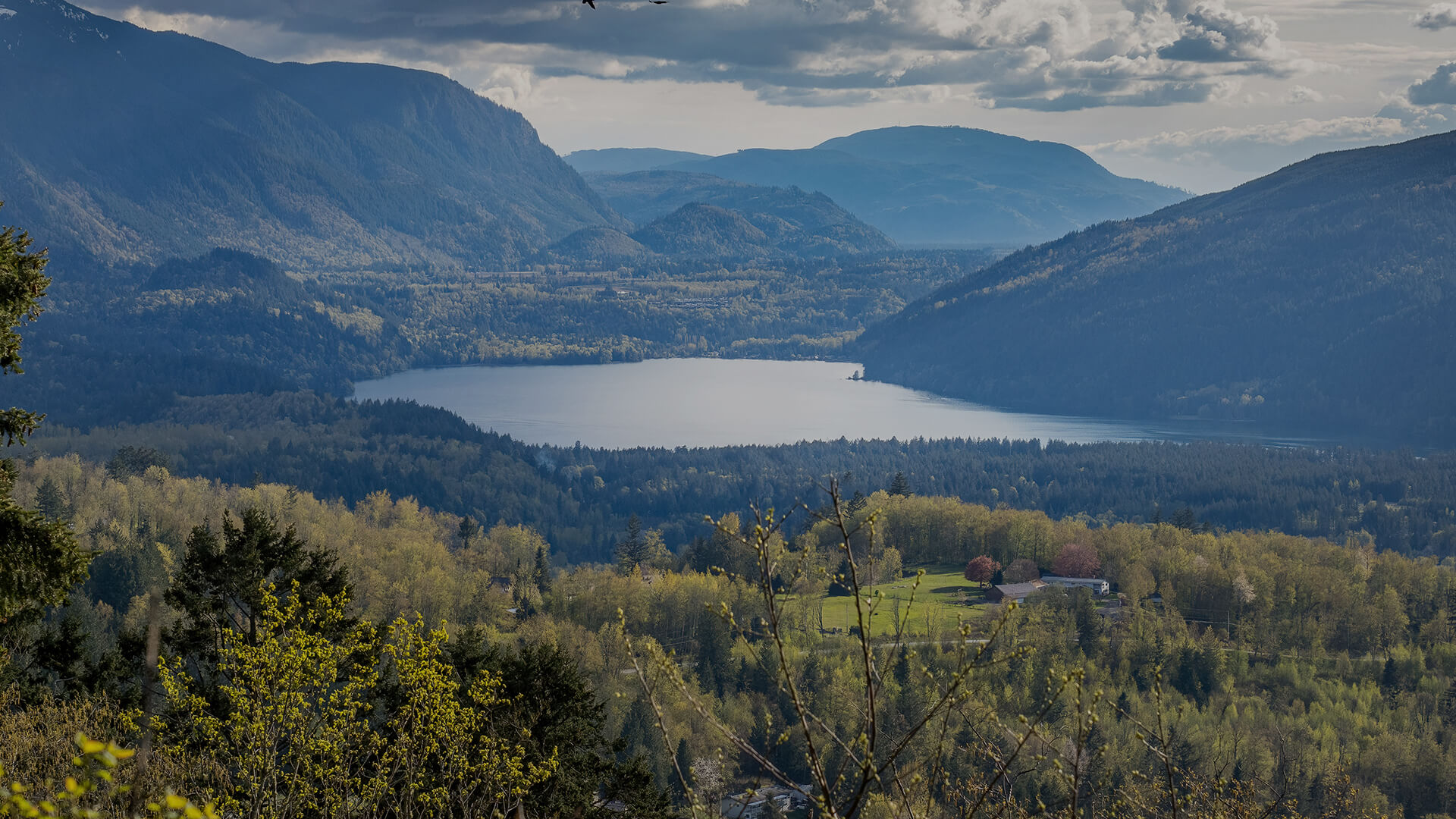 Alternatives in Agassiz