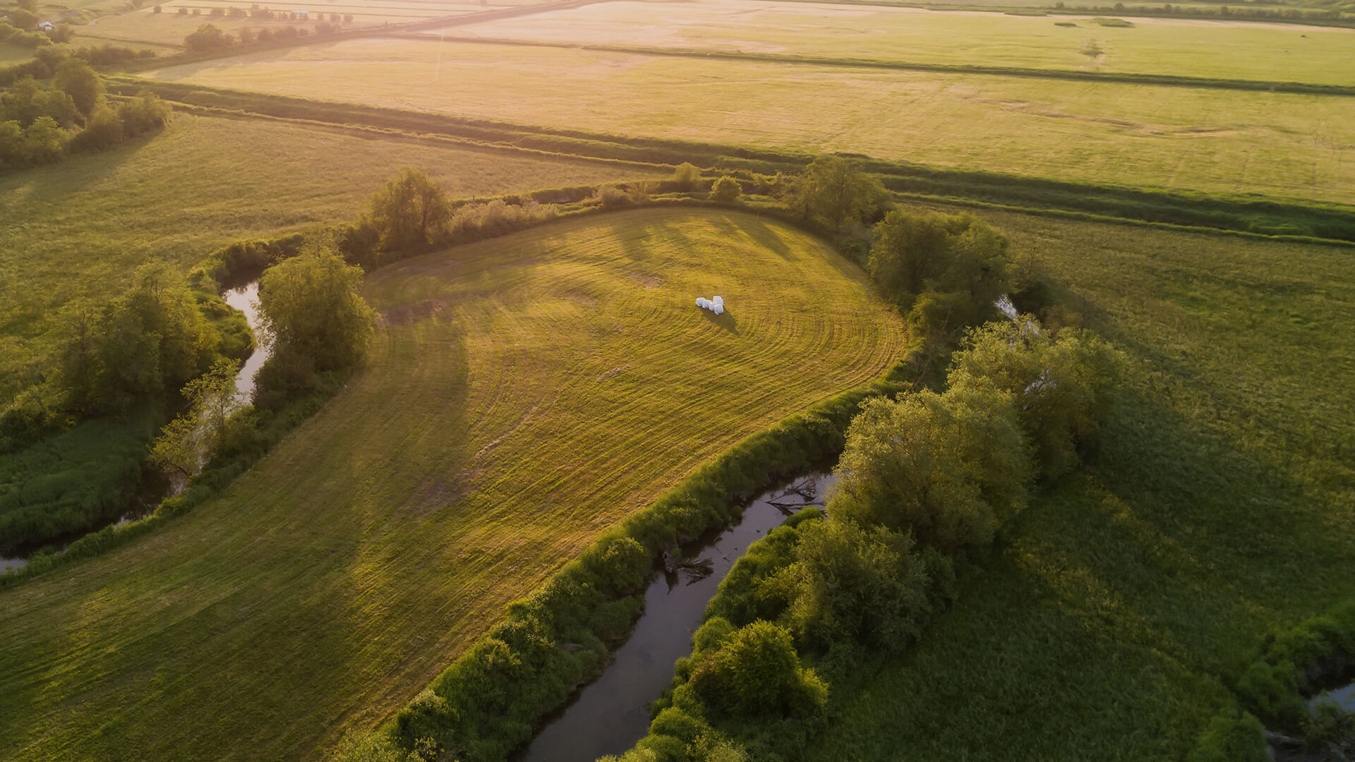 Alternatives in Aldergrove