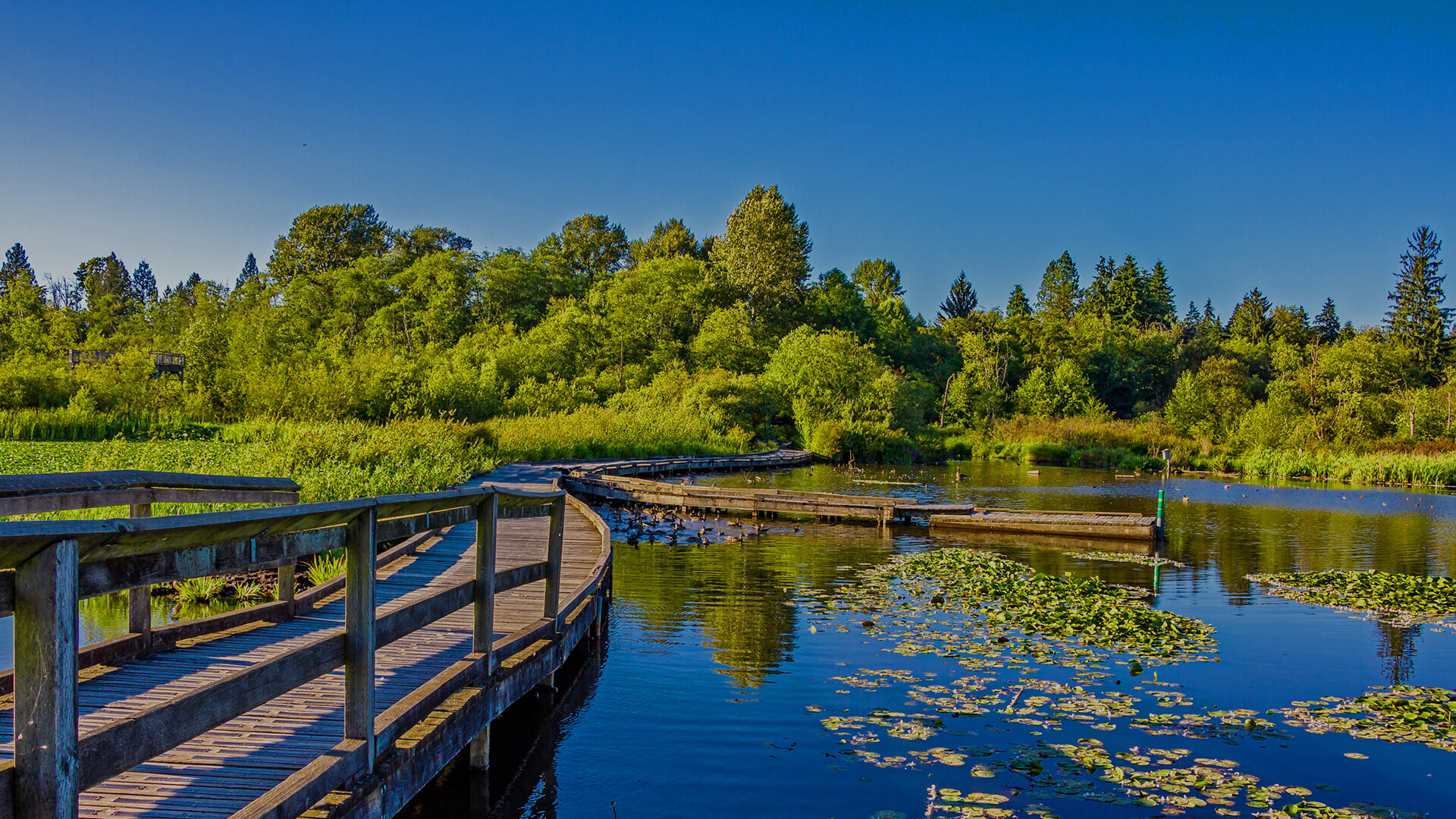 Alternatives in Burnaby