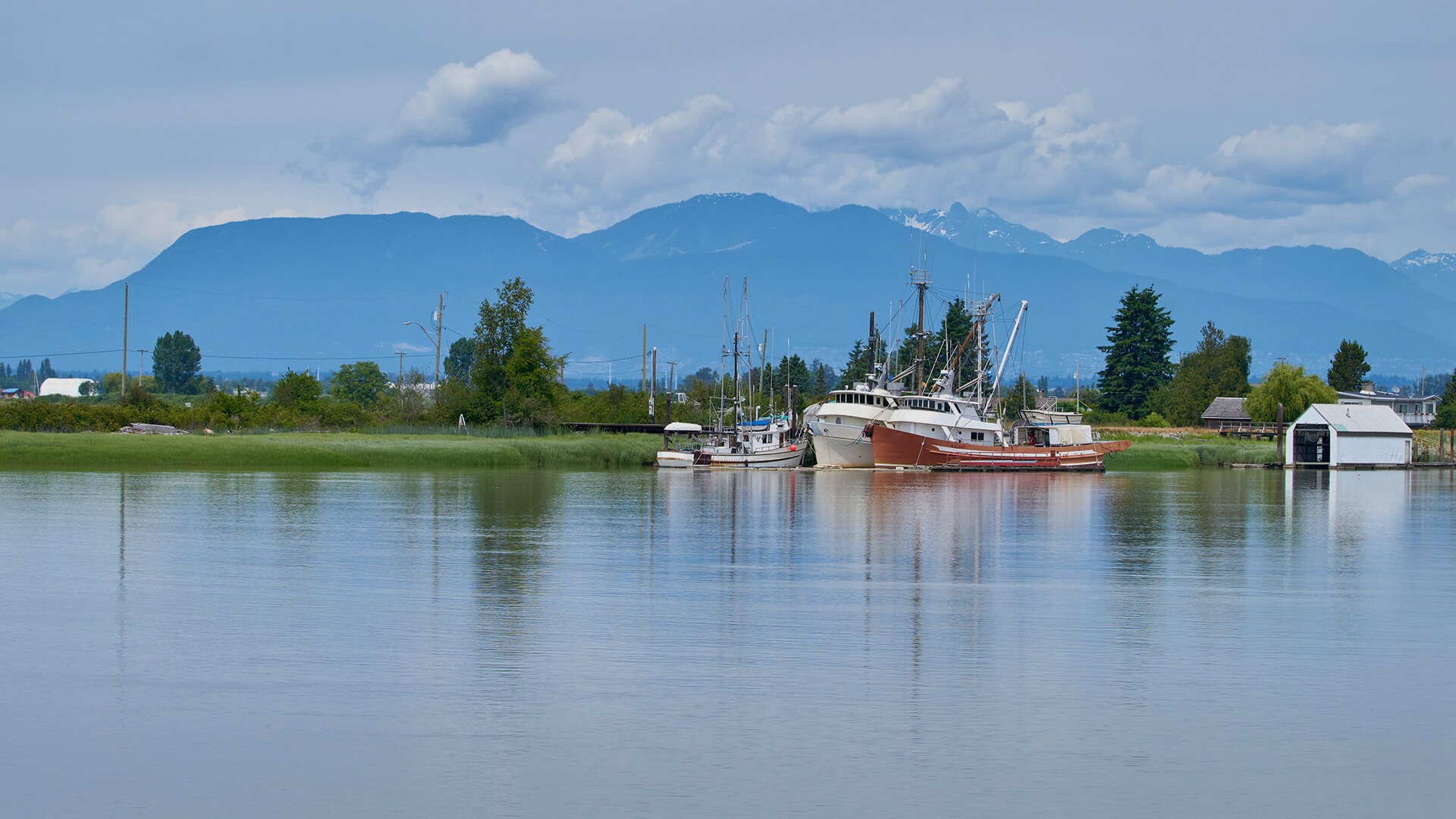 Alternatives in Ladner