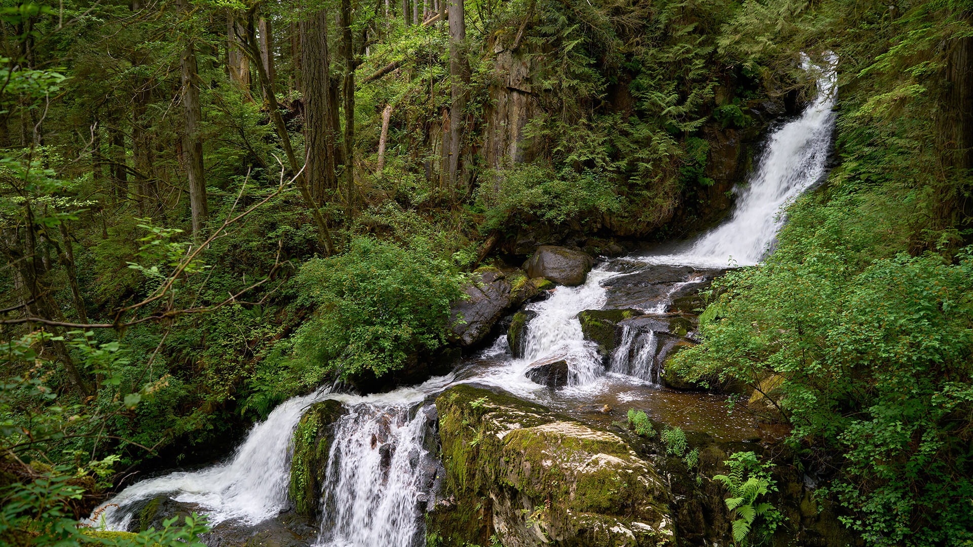 Alternatives in Mission