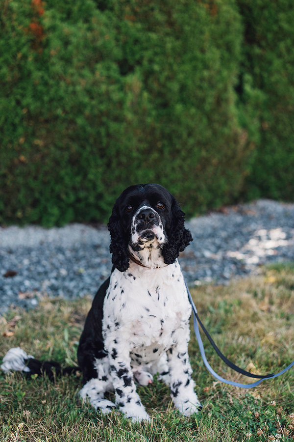 Leonard "Lenny" Parker-Kinley